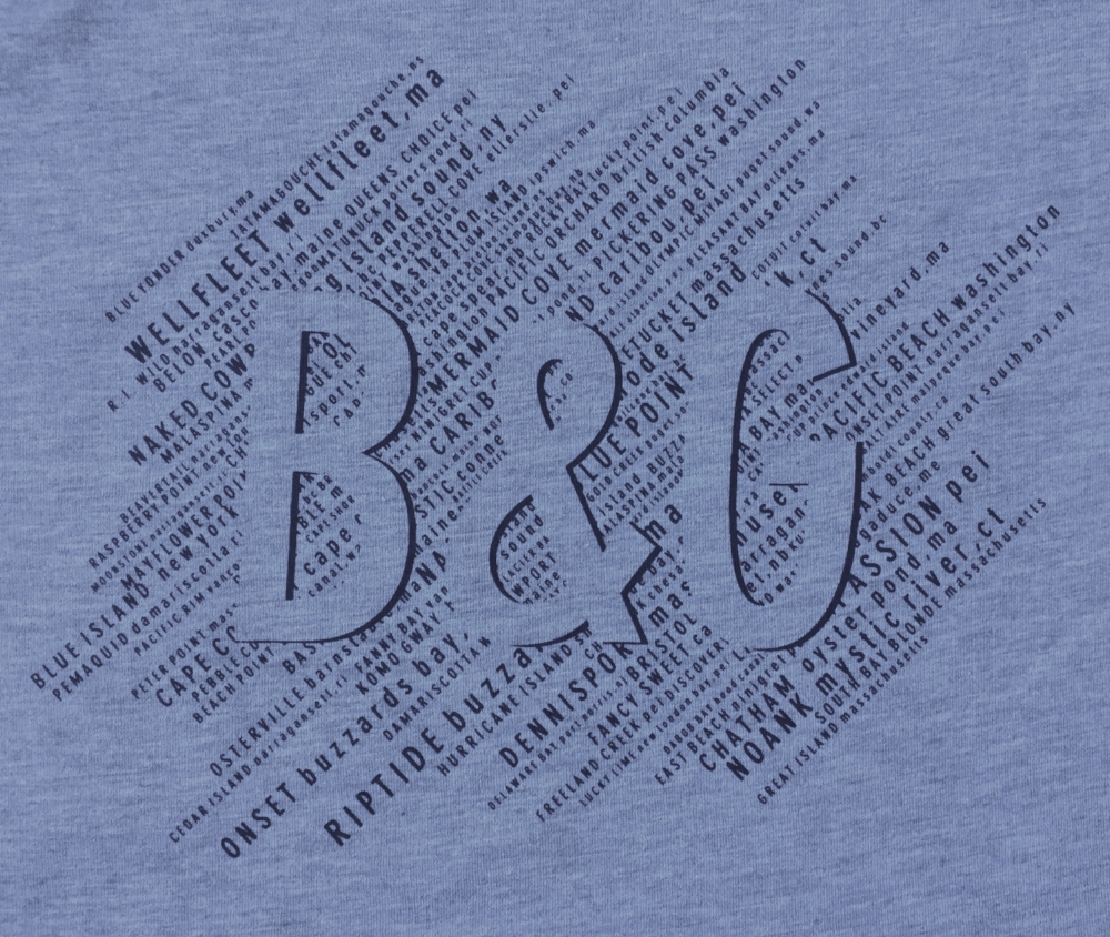 Gray Back Detail.JPG