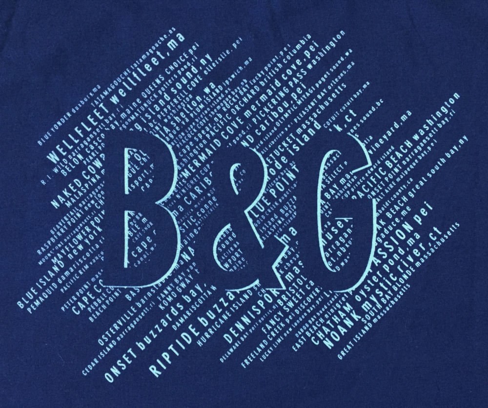 Ladies Gray Front.JPG